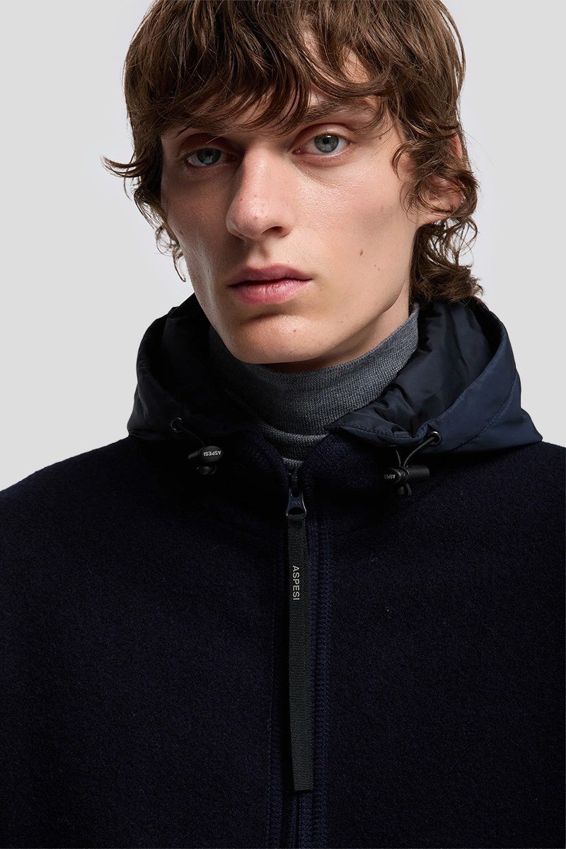 Ανδρικό Μπλε Werner Shetland Wool ASPESI