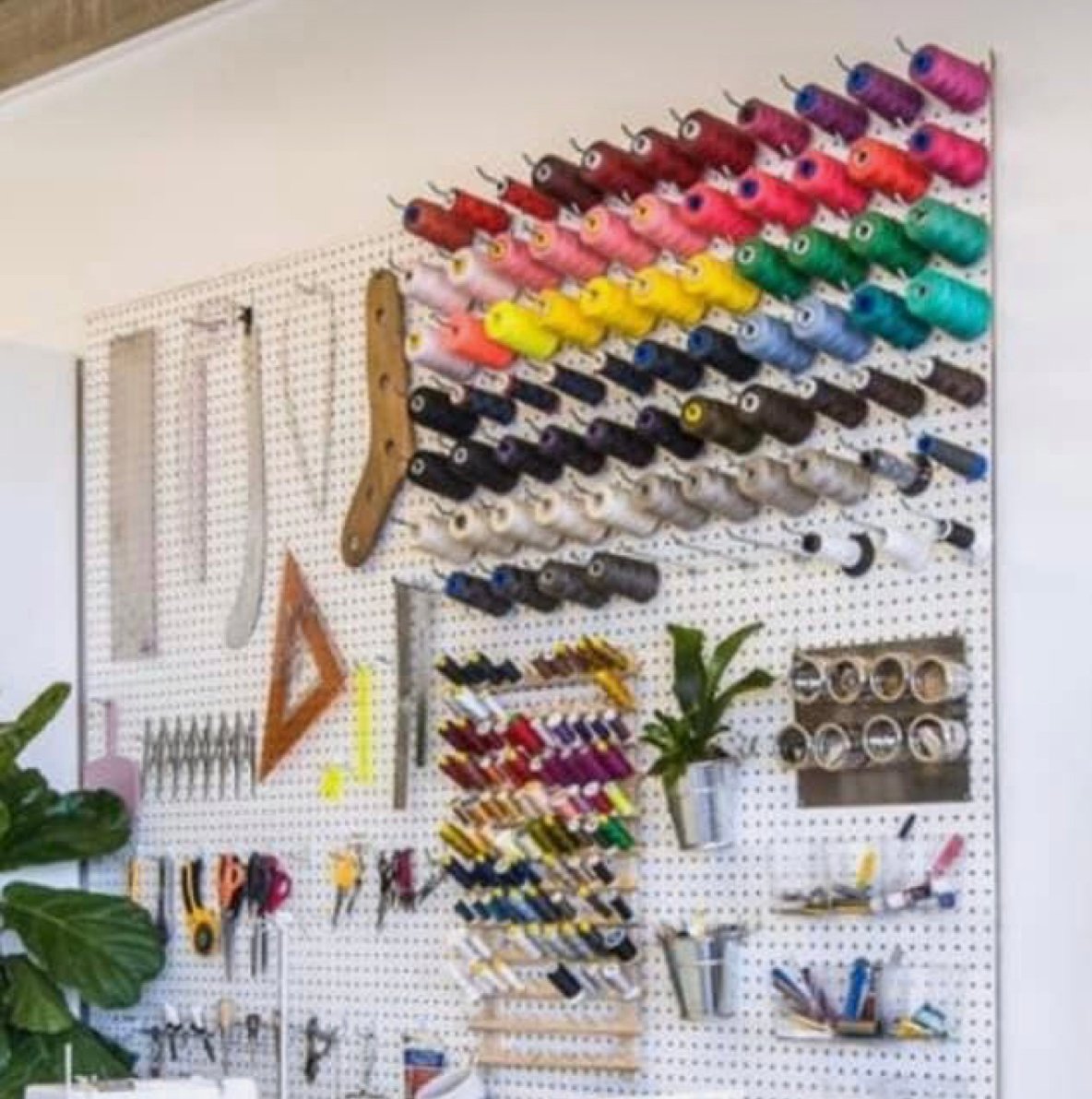 Fashion brand for sale